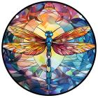 Dragonfly/Typ13/L